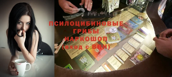 соль ск Верея