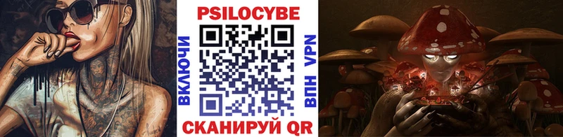 Псилоцибиновые грибы мицелий Верещагино